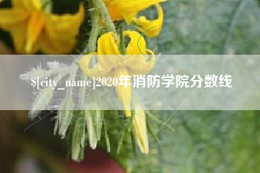 如东2020年消防学院分数线
