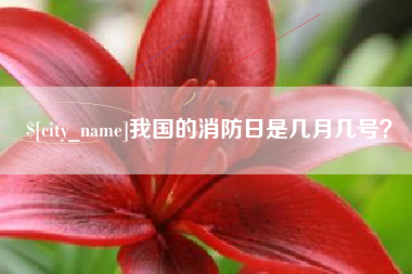 如东我国的消防日是几月几号？