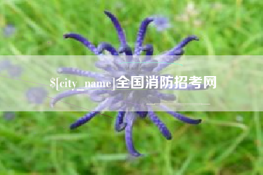 如东全国消防招考网