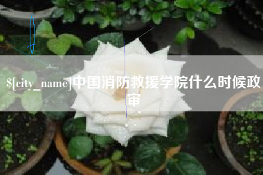 如东中国消防救援学院什么时候政审