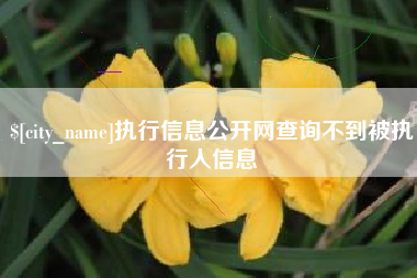 如东执行信息公开网查询不到被执行人信息