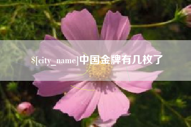 如东中国金牌有几枚了