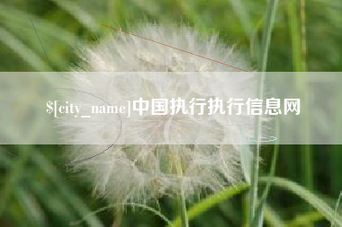 如东中国执行执行信息网