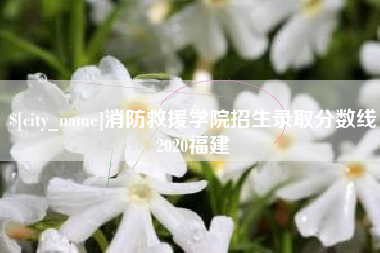 如东消防救援学院招生录取分数线2020福建