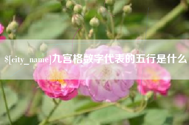 如东九宫格数字代表的五行是什么