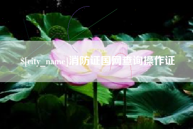 如东消防证国网查询操作证