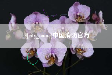 如东中国消防官方