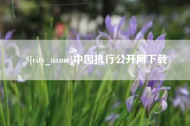 如东中国执行公开网下载
