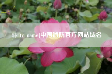 如东中国消防官方网站域名