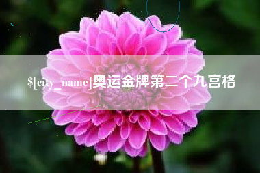 如东奥运金牌第二个九宫格