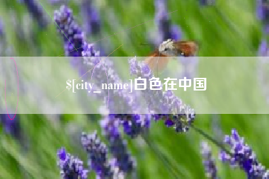 如东白色在中国