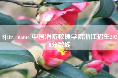 如东中国消防救援学院浙江招生2020分数线