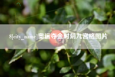 如东奥运夺金时刻九宫格图片
