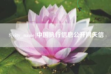 如东中国执行信息公开网失信