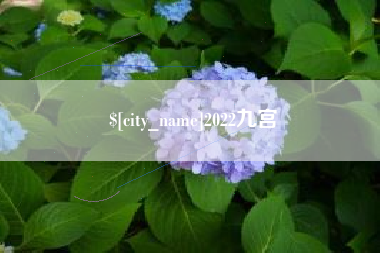 如东2022九宫