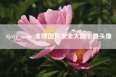 如东金牌图片大全大图卡通头像