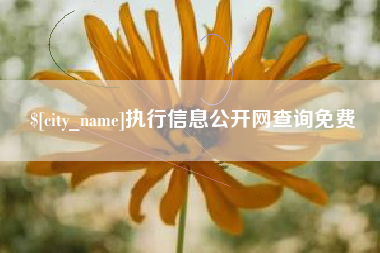 如东执行信息公开网查询免费